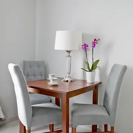 Elegant Center 7b Appartement *